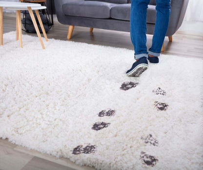  Footprints on a white carpet, emphasizing the importance of professional carpet cleaning services.