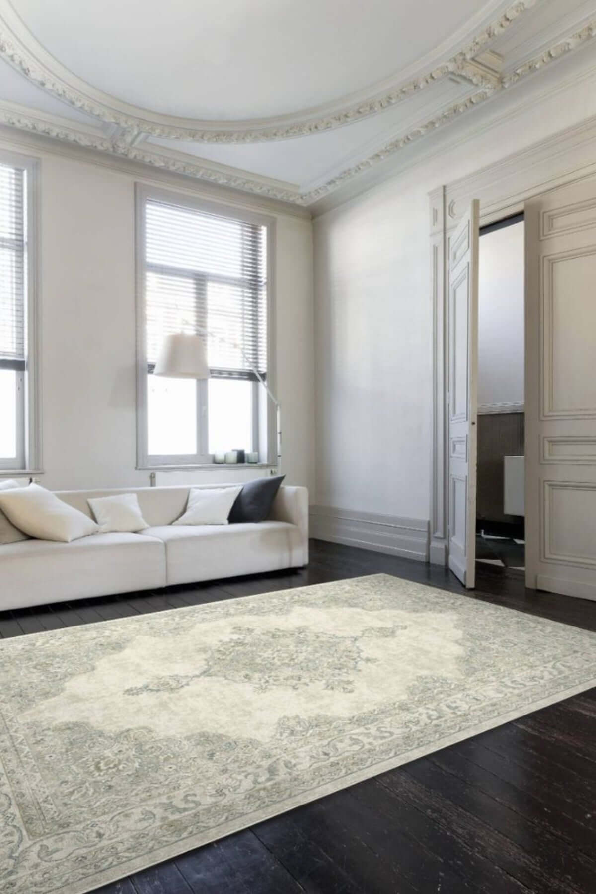 A stylish and clean rug in a bright living room setting, showcasing a well-maintained interior.